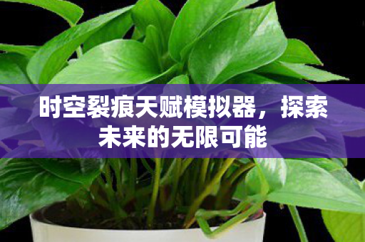 时空裂痕天赋模拟器,探索未来的无限可能 时空裂痕天赋模拟器,探索未来的无限可能