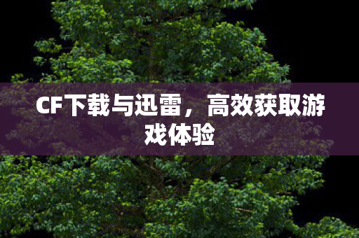 CF下载与迅雷,高效获取游戏体验 CF下载与迅雷,高效获取游戏体验