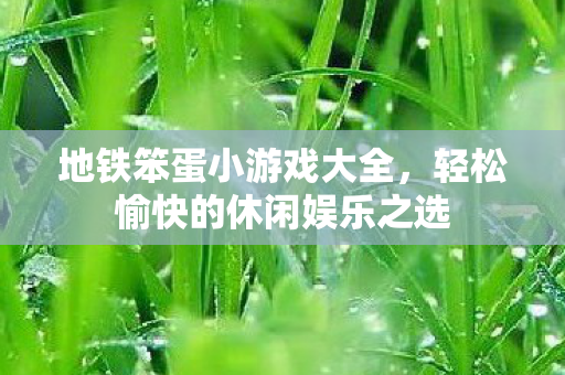 地铁笨蛋小游戏大全,轻松愉快的休闲娱乐之选 地铁笨蛋小游戏大全,轻松愉快的休闲娱乐之选