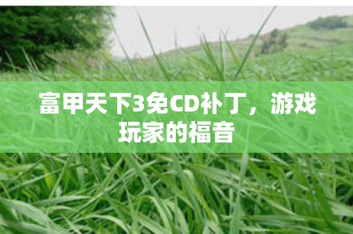 富甲天下3免CD补丁,游戏玩家的福音 富甲天下3免CD补丁,游戏玩家的福音