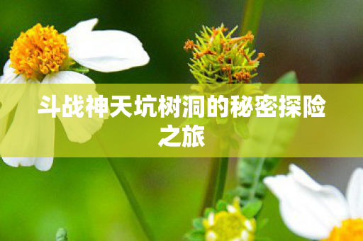 斗战神天坑树洞的秘密探险之旅 斗战神天坑树洞的秘密探险之旅