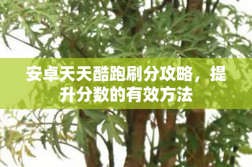 安卓天天酷跑刷分攻略,提升分数的有效方法 安卓天天酷跑刷分攻略,提升分数的有效方法