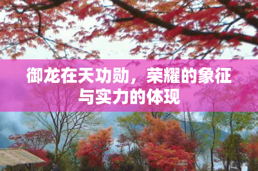 御龙在天功勋,荣耀的象征与实力的体现 御龙在天功勋,荣耀的象征与实力的体现