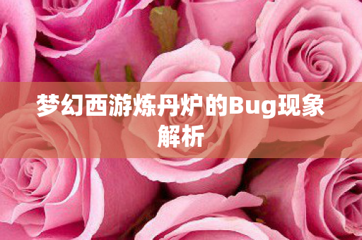 梦幻西游炼丹炉的Bug现象解析 梦幻西游炼丹炉的Bug现象解析