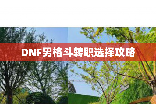 DNF男格斗转职选择攻略