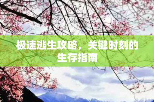极速逃生攻略，关键时刻的生存指南