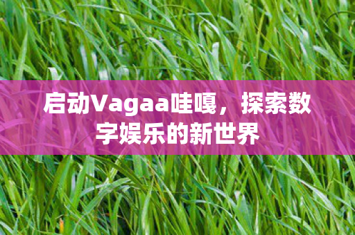 启动Vagaa哇嘎，探索数字娱乐的新世界