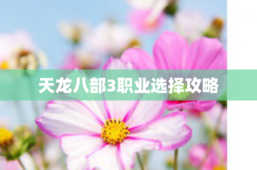 天龙八部3职业选择攻略 天龙八部3职业选择攻略