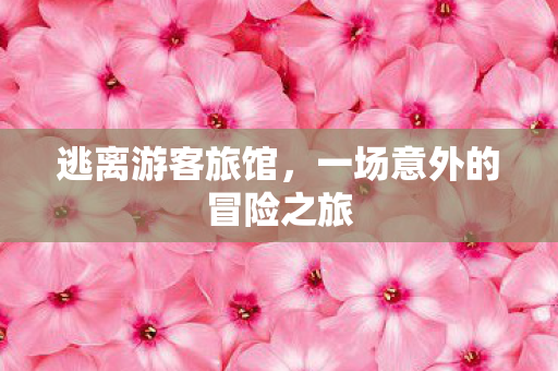 逃离游客旅馆,一场意外的冒险之旅 逃离游客旅馆,一场意外的冒险之旅