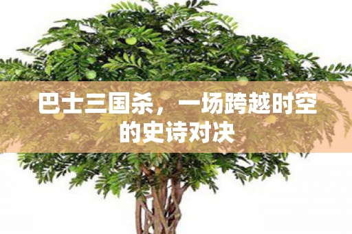 巴士三国杀,一场跨越时空的史诗对决 巴士三国杀,一场跨越时空的史诗对决