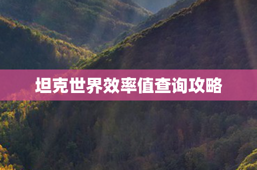 坦克世界效率值查询攻略