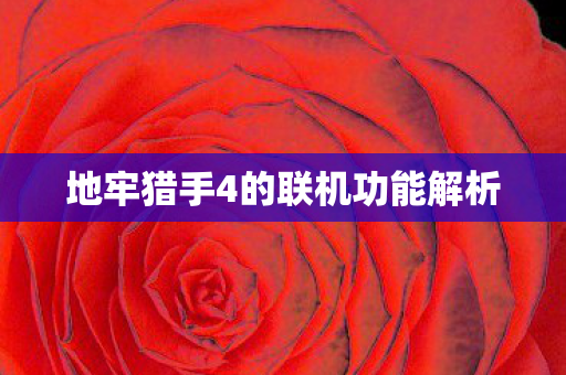 地牢猎手4的联机功能解析 地牢猎手4的联机功能解析