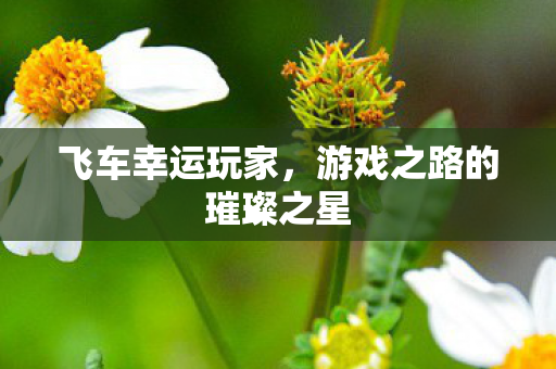 飞车幸运玩家,游戏之路的璀璨之星 飞车幸运玩家,游戏之路的璀璨之星