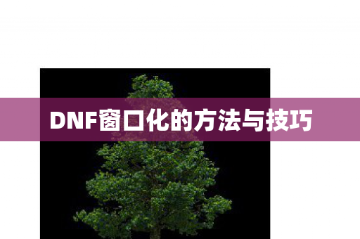 DNF窗口化的方法与技巧