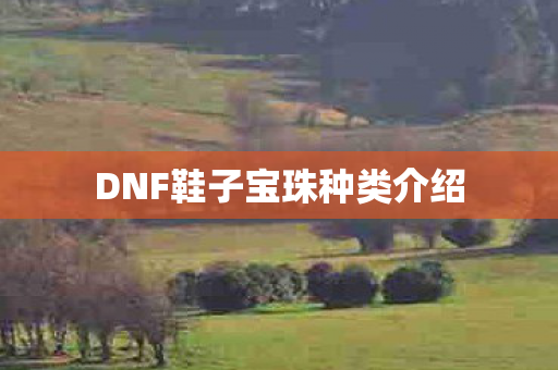 DNF鞋子宝珠种类介绍 DNF鞋子宝珠种类介绍