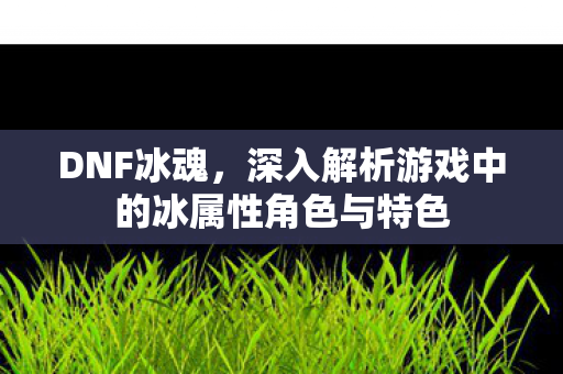 DNF冰魂,深入解析游戏中的冰属性角色与特色 DNF冰魂,深入解析游戏中的冰属性角色与特色