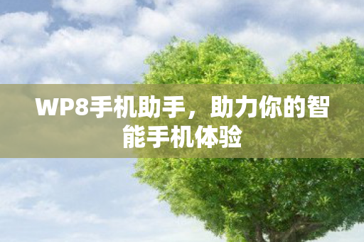 WP8手机助手,助力你的智能手机体验 WP8手机助手,助力你的智能手机体验