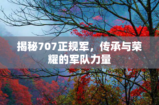揭秘707正规军,传承与荣耀的军队力量 揭秘707正规军,传承与荣耀的军队力量