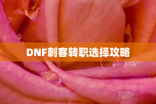 DNF刺客转职选择攻略 DNF刺客转职选择攻略