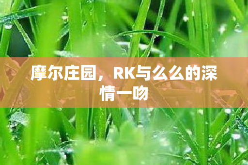 摩尔庄园,RK与么么的深情一吻 摩尔庄园,RK与么么的深情一吻