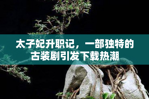 太子妃升职记,一部独特的古装剧引发下载热潮 太子妃升职记,一部独特的古装剧引发下载热潮