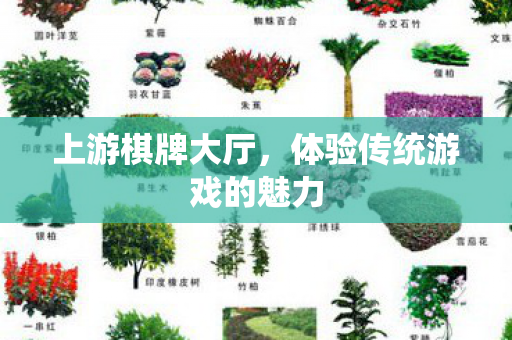 上游棋牌大厅,体验传统游戏的魅力 上游棋牌大厅,体验传统游戏的魅力