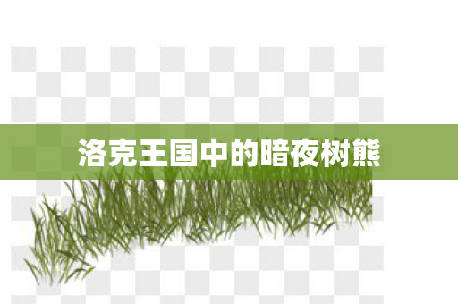 洛克王国中的暗夜树熊 洛克王国中的暗夜树熊