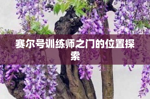 赛尔号训练师之门的位置探索