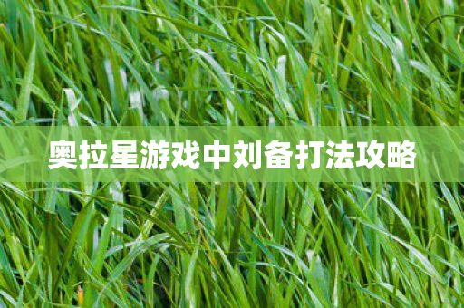 奥拉星游戏中刘备打法攻略