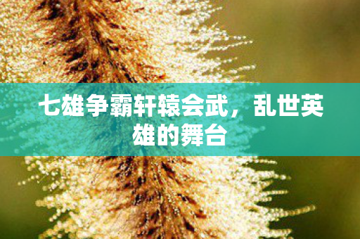 七雄争霸轩辕会武,乱世英雄的舞台 七雄争霸轩辕会武,乱世英雄的舞台