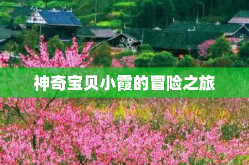 神奇宝贝小霞的冒险之旅 神奇宝贝小霞的冒险之旅