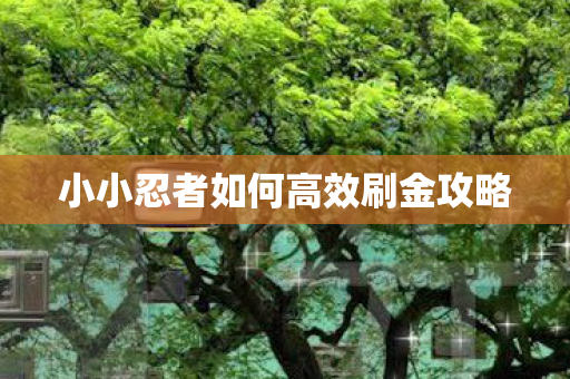 小小忍者如何高效刷金攻略 小小忍者如何高效刷金攻略