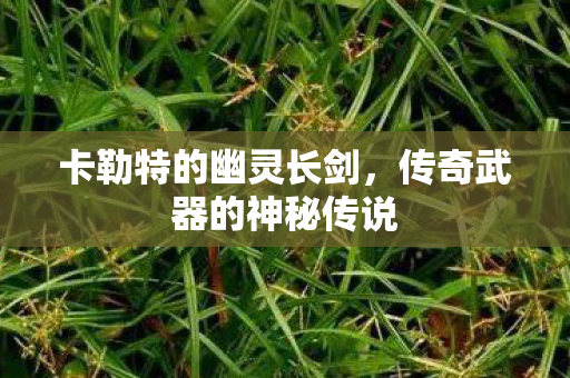 卡勒特的幽灵长剑,传奇武器的神秘传说 卡勒特的幽灵长剑,传奇武器的神秘传说