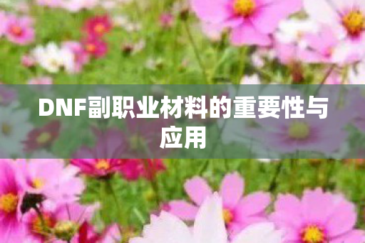 DNF副职业材料的重要性与应用 DNF副职业材料的重要性与应用