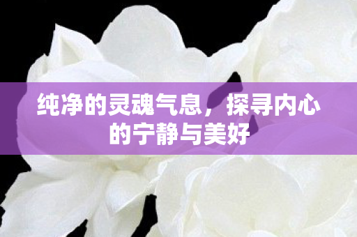 纯净的灵魂气息,探寻内心的宁静与美好 纯净的灵魂气息,探寻内心的宁静与美好