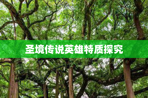 圣境传说英雄特质探究 圣境传说英雄特质探究