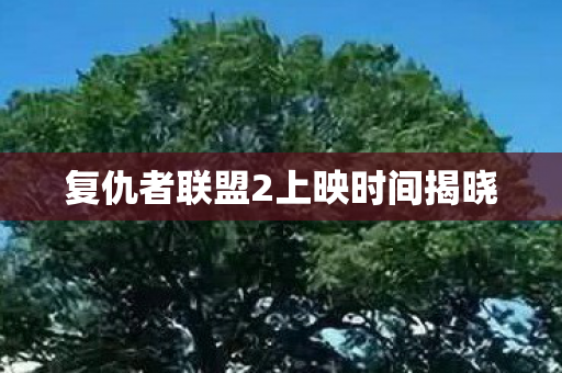 复仇者联盟2上映时间揭晓