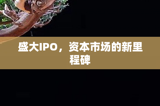 盛大IPO，资本市场的新里程碑