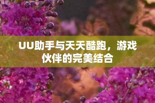 UU助手与天天酷跑，游戏伙伴的完美结合