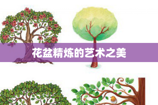 花盆精炼的艺术之美 花盆精炼的艺术之美