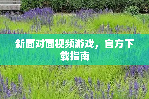 新面对面视频游戏,官方下载指南 新面对面视频游戏,官方下载指南