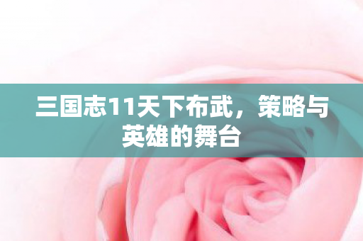 三国志11天下布武,策略与英雄的舞台 三国志11天下布武,策略与英雄的舞台