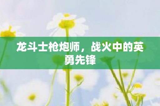 龙斗士枪炮师,战火中的英勇先锋 龙斗士枪炮师,战火中的英勇先锋