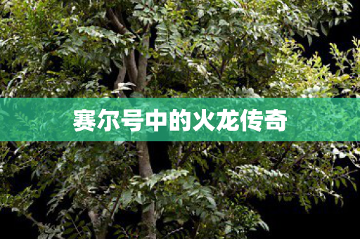 赛尔号中的火龙传奇 赛尔号中的火龙传奇