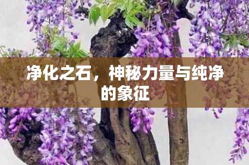 净化之石,神秘力量与纯净的象征 净化之石,神秘力量与纯净的象征