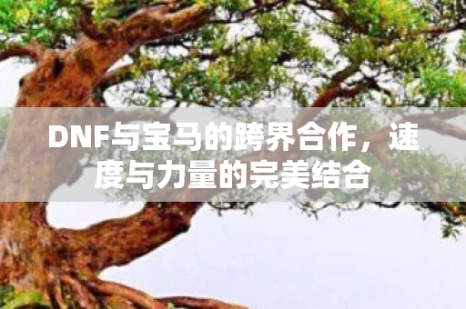 DNF与宝马的跨界合作,速度与力量的完美结合 DNF与宝马的跨界合作,速度与力量的完美结合