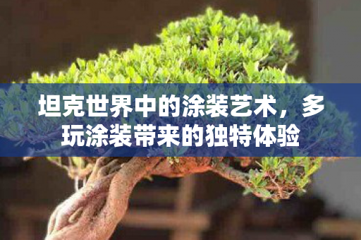 坦克世界中的涂装艺术,多玩涂装带来的独特体验 坦克世界中的涂装艺术,多玩涂装带来的独特体验