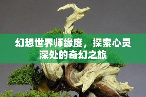 幻想世界师缘度,探索心灵深处的奇幻之旅 幻想世界师缘度,探索心灵深处的奇幻之旅