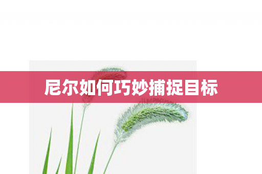 尼尔如何巧妙捕捉目标 尼尔如何巧妙捕捉目标