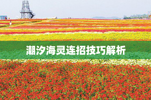 潮汐海灵连招技巧解析 潮汐海灵连招技巧解析